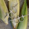 Kitchen Gadget Manual Corn Peeler for Household