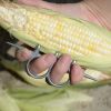 Kitchen Gadget Manual Corn Peeler for Household